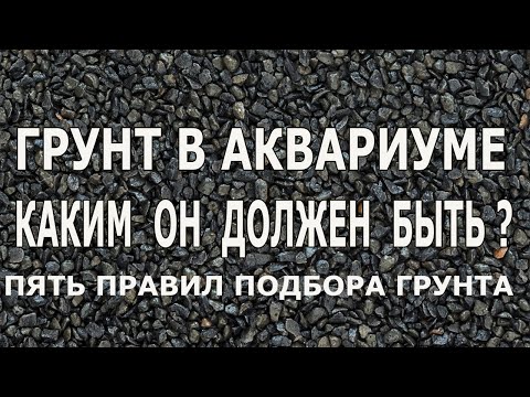 Видео: Грунт в аквариуме , каким он должен быть?