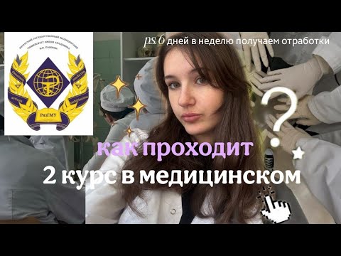 Видео: VLOG : готовимся к колку по БХ | первые отработки
