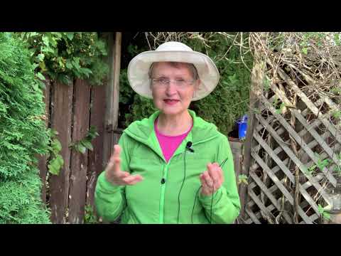 Видео: ЧТО СДЕЛАТЬ ЧТОБЫ ЖЕЛАНИЕ СБЫЛОСЬ. КАК ПРАВИЛЬНО ЗАГАДАТЬ ЖЕЛАНИЕ. КОЛЕНА