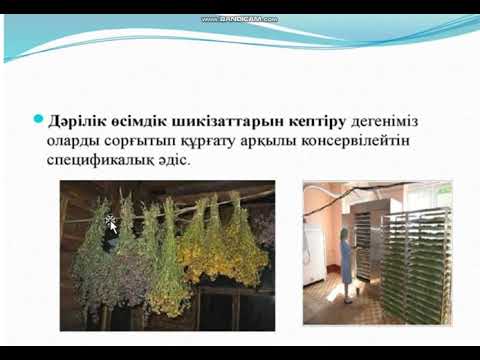 Видео: "Дәрілік өсімдіктерді сақтау,жинау,кептіру ережелері"  Жасыл дәріхана үйірмесі 6 сынып