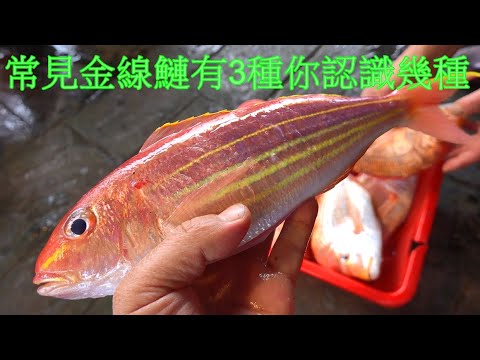 Видео: На рынке распространены три вида толстолобиков. Сколько вы знаете? Я потратил почти полгода на сб...