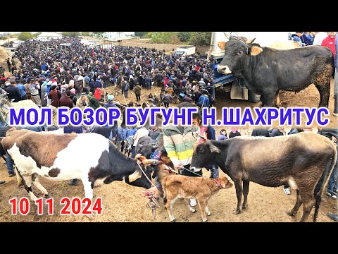 Видео: МОЛ БОЗОРИ НОХИЯИ ШАХРИТУС БУГУНГИ КАТТАМОЛ ВА МАЙДАМОЛЛАРНИ НАРХЛАРИ