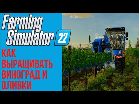 Видео: 🍇 Всё о винограде и оливках в Farming Simulator 22