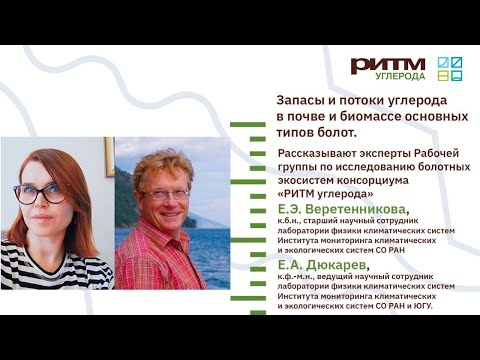 Видео: Лекция 11. Запасы и потоки углерода в почве и биомассе основных типов болот. Веретенникова Е. и др.