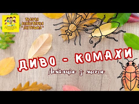 Видео: Аплікація з листя "Диво - комахи"