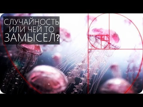 Видео: ЧИСЛА ФИБОНАЧЧИ УДИВИТЕЛЬНАЯ ЗАКОНОМЕРНОСТЬ [Число ФИ и Золотое сечение]