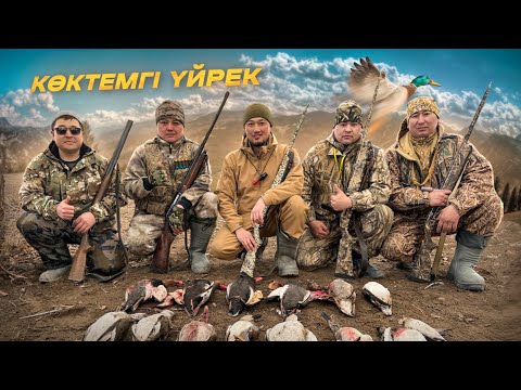 Видео: ҮЙРЕКТЕР ӨТЕ КӨӨӨӨП 😱. КӨКТЕМГІ АҢШЫЛЫҚ МАУСЫМЫ. Күй: Тәшімов  Әділбек ( Еркемсің )
