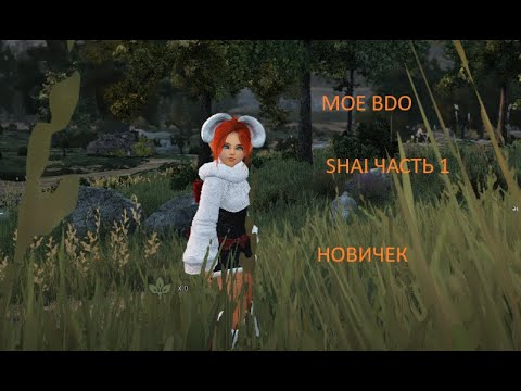 Видео: Дневник Шай | Мое BDO