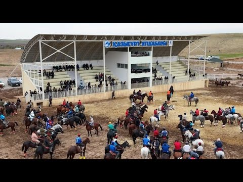 Видео: 27.10.2024 Шаріпбаевтар әулеті елден бата алу көкпар тойы