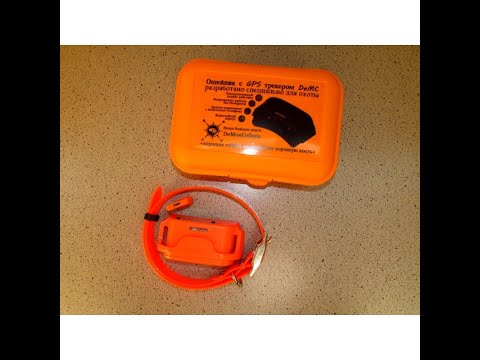 Видео: GPS трекер DeMC (Де Моя Собака) для охоты