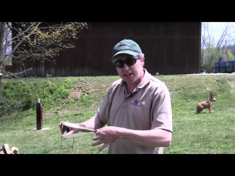 Видео: Как избежать ударов вилкой рогатки