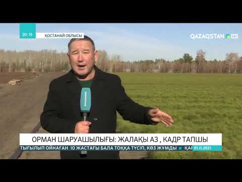 Видео: Орман шаруашылығы:  Жалақы аз, кадр тапшы