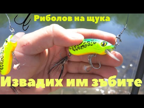 Видео: Риболов на щука. Вадя им зъбите, но не вадя риба