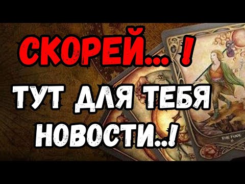 Видео: ТАРО. ❗️СРОЧНО.🍀КАКИЕ НОВОСТИ ТЫ СКОРО ПОЛУЧИШЬ⁉️ 