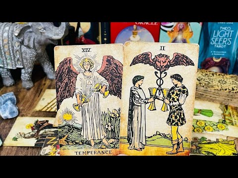 Видео: Стрелец🌙Только 0,01% увидят это сообщение🪽🗝🤍