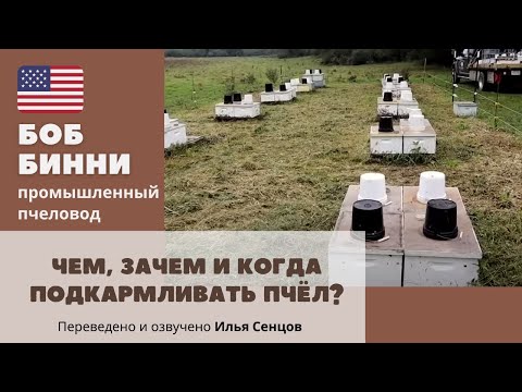 Видео: Методы подкормки пчел от Боба Бинни (Чем, зачем и когда подкармливать пчел) - Часть 1