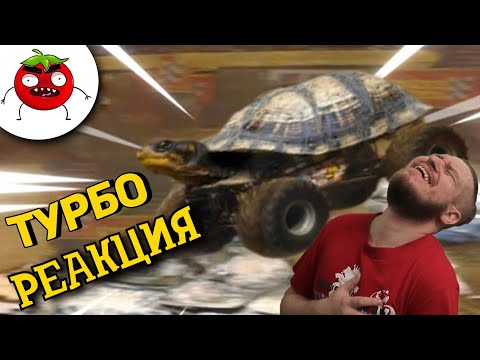 Видео: ЗАСМЕЯЛСЯ - ПОДПИСАЛСЯ!! ЛУЧШИЕ ПРИКОЛЫ I 476 СЕКУНД СМЕХА - РЕАКЦИЯ НА БАЛТИМОР