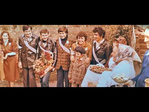 Видео: Культура грецкого ореха, 1980