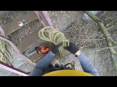 Видео: АРБОРИСТИКА ОТ ПЕРВОГО ЛИЦА ПРОМЫШЛЕННЫЙ АЛЬПИНИЗМ