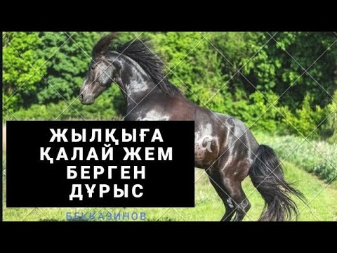 Видео: Жылқыға қалай жем береміз,Как откормить лошадей