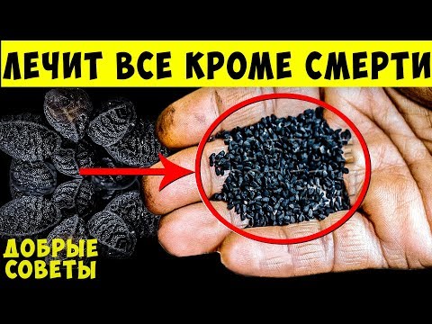 Видео: Что творит Чёрный Тмин - Король всех растений: Вылечит Даже...