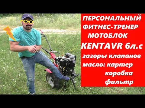 Видео: ПЕРВЫЙ ПУСК / МОТОБЛОК Кентавр МБ 2060Д / масла зазоры клапанов