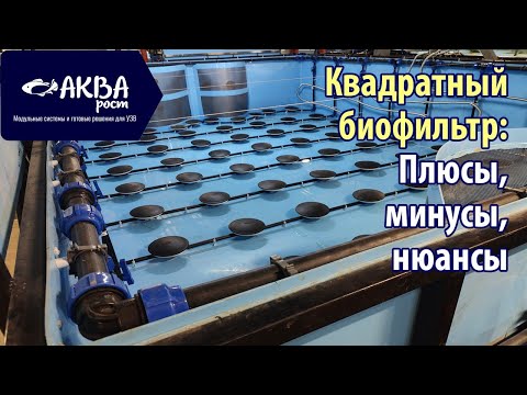 Видео: Плюсы и минусы квадратного биофильтра в УЗВ #система #узв #рыба #акварост