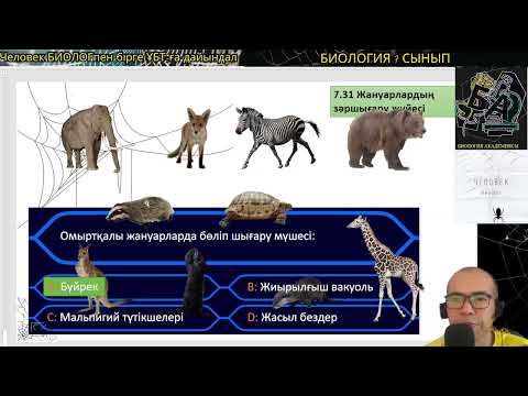 Видео: ТЕСТ бөліп шығару мүшелері #биология #7сыныпбиология #ұбтбиология #убтбио