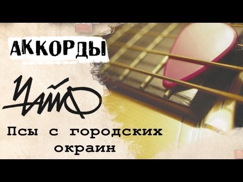 Видео: ЧАЙФ Псы с городских аккорды 🎸 кавер табы на гитаре как играть | pro-gitaru.ru