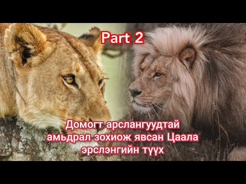 Видео: Сүүлгүй Цаала эрслэнгийн тэмцэл Парт2 Гоё түүхүүд Goe tuuhuud mongol heleer kino duu Arslangiin tuuh