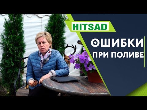 Видео: ТОП 10 Ошибок При Поливе Растений 🌺 Как Правильно Поливать Растения 🌸 Советы От Хитсад ТВ