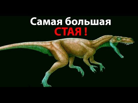 Видео: Самая большая СТАЯ ! ( The Isle )