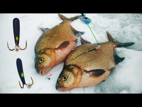 Видео: КОЗА или ЧЁРТИК ??? Что вкуснее для рыбы ??? Неожиданный результат !