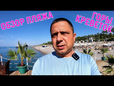 Видео: BOTANIK PLATINUM 5* - ГАЛА УЖИН - В ШОКЕ ОТ ИЗОБИЛИЯ ЕДЫ - КАКИЕ МАГАЗИНЫ ЕСТЬ ВБЛИЗИ ОТЕЛЯ? - ПЛЯЖ