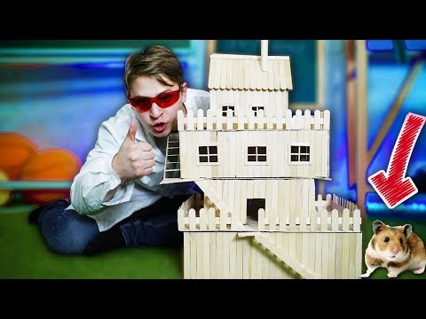Видео: СДЕЛАЛ ХОМЯКУ ГИГАНТСКИЙ ДОМ ИЗ ПАЛОЧЕК ДЛЯ МОРОЖЕННОГО!