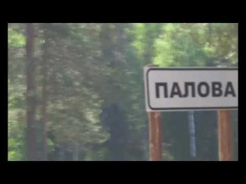 Видео: Палова