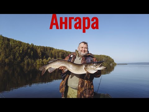 Видео: Ангара. Рыбалка на спиннинг с лодки. Ловля щуки и окуня на джиг.