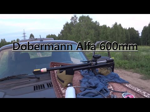 Видео: Dobermann Alfa 600 под полнотелых дедуль