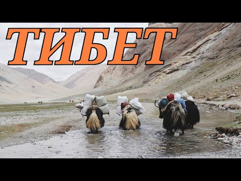 Видео: КАЙЛАС ТОО/ТИБЕТ/ #СулайманЖанботоев #САНЖЫРА