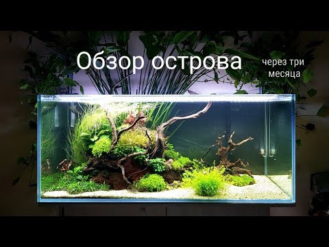Видео: Обзор острова три месяца после запуска