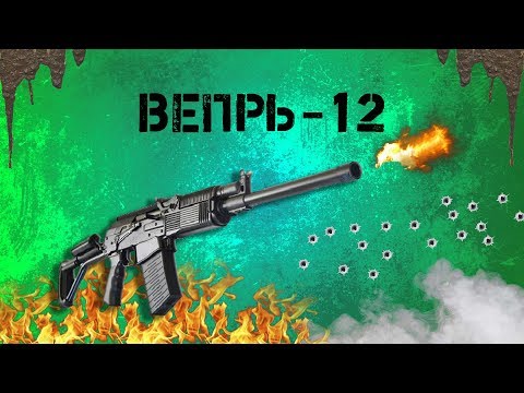 Видео: Вепрь 12-Твой выбор. ВПО-205. 4К качество.