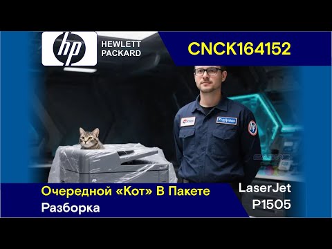 Видео: HP LaserJet P1505 - CNCK164152 / Очередной "Кот" В Пакете / Разборка