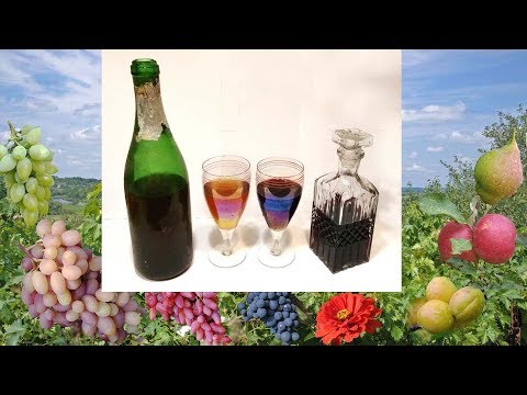 Видео: @Виноградное домашнее вино. Дегустация, сульфитация, хранение