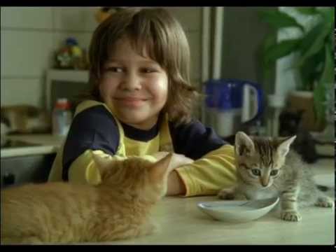 Видео: Ералаш №253 "Добрая душа"