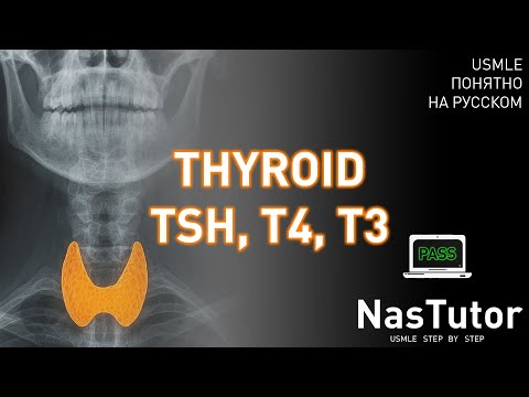 Видео: Щитовидная железа: регуляция, физиология, гипо- и гипертиреоз, болезни﻿ | USMLE Step 1,2 на русском