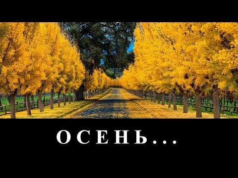 Видео: гр. Спасение... "Осень" - в городе тихая осень... (клип)