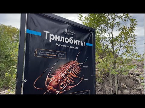 Видео: Где найти трилобита в Ленинградской области