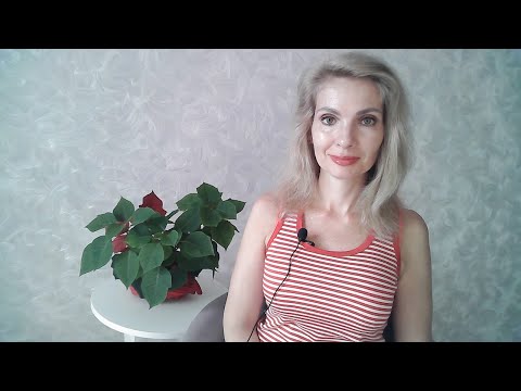 Видео: Нарциссическая зависть