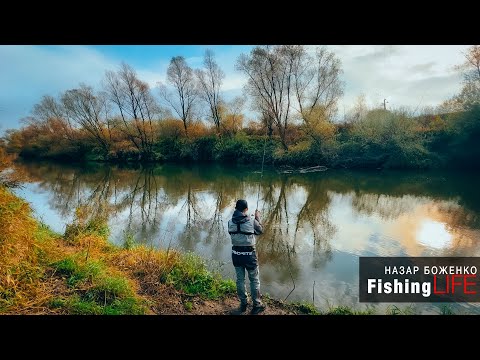 Видео: Як Ловити Хижака На Річці? - Рибалка На Щуку, Судака І Окуня
