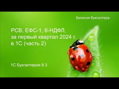 Видео: РСВ, ЕФС-1, 6-НДФЛ за первый квартал 2024 г. в 1С (часть 2)